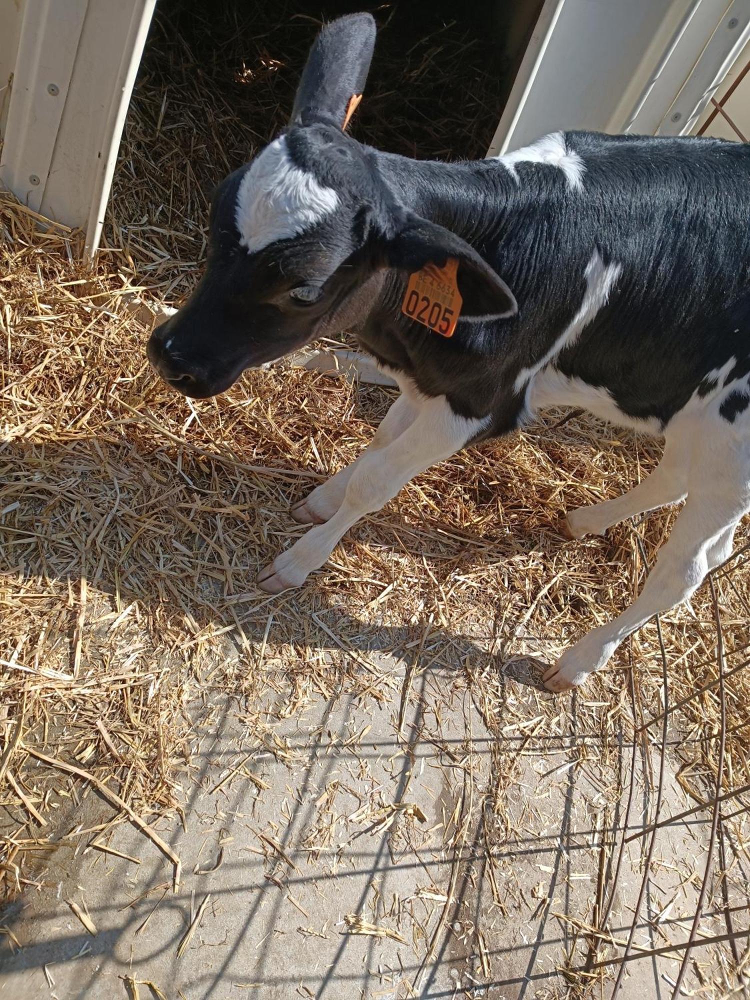 Gite Ferme D'Hurtaux Froid-Chapelle Kültér fotó